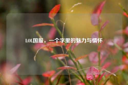 LOL国服,一个字里的魅力与情怀