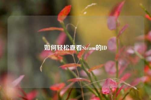 如何轻松查看Steam的ID
