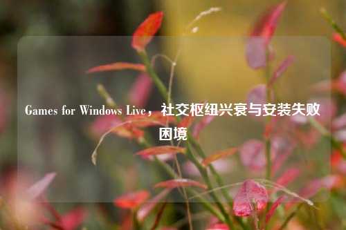 Games for Windows Live,社交枢纽兴衰与安装失败困境