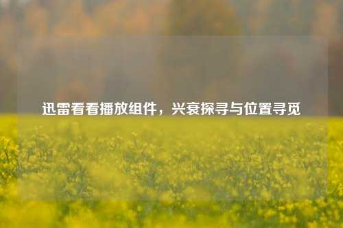 迅雷看看播放组件,兴衰探寻与位置寻觅