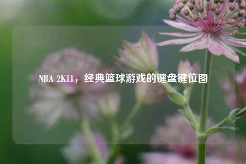 NBA 2K11,经典篮球游戏的键盘键位图
