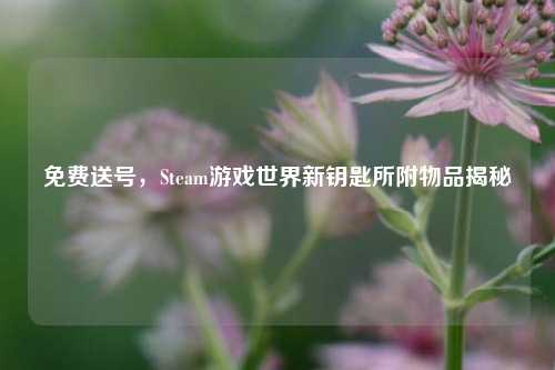 免费送号，Steam游戏世界新钥匙所附物品揭秘