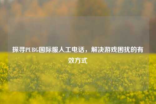 探寻PUBG国际服人工电话,解决游戏困扰的有效方式