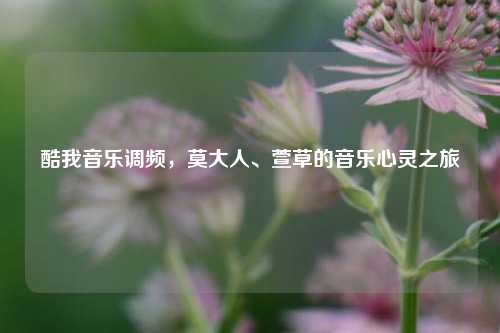 酷我音乐调频，莫大人、萱草的音乐心灵之旅