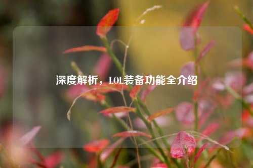深度解析,LOL装备功能全介绍