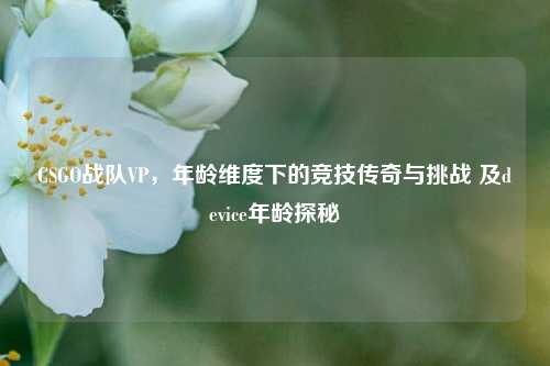 CSGO战队VP,年龄维度下的竞技传奇与挑战 及device年龄探秘