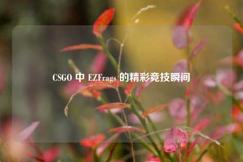 CSGO 中 EZFrags 的精彩竞技瞬间