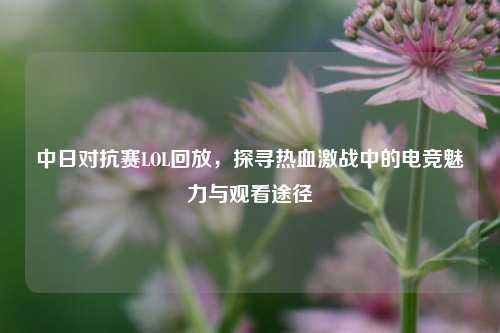 中日对抗赛LOL回放,探寻热血激战中的电竞魅力与观看途径