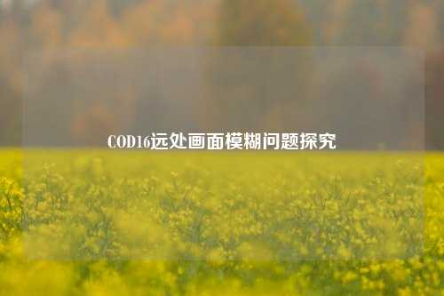 COD16远处画面模糊问题探究