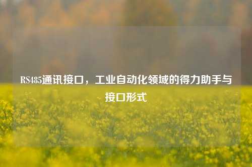 RS485通讯接口,工业自动化领域的得力助手与接口形式