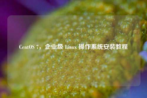 CentOS 7,企业级 Linux 操作系统安装教程