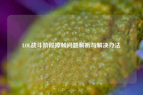 LOL战斗阶段掉帧问题解析与解决办法