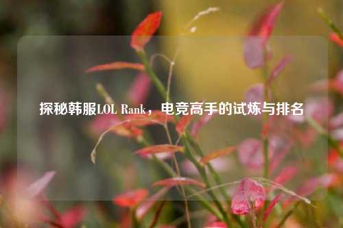 探秘韩服LOL Rank,电竞高手的试炼与排名