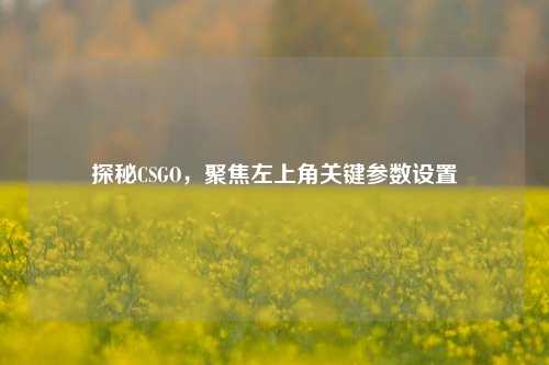 探秘CSGO,聚焦左上角关键参数设置