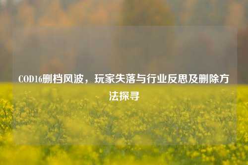 COD16删档风波，玩家失落与行业反思及删除方法探寻
