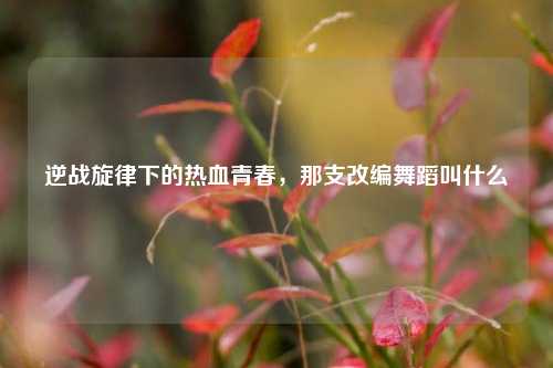 逆战旋律下的热血青春,那支改编舞蹈叫什么
