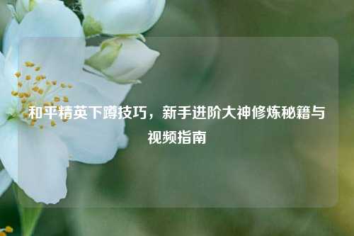 和平精英下蹲技巧，新手进阶大神修炼秘籍与视频指南