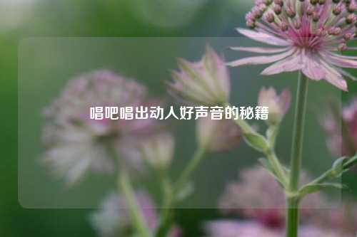 唱吧唱出动人好声音的秘籍