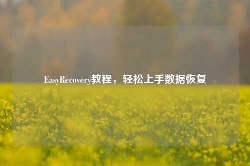 EasyRecovery教程,轻松上手数据恢复