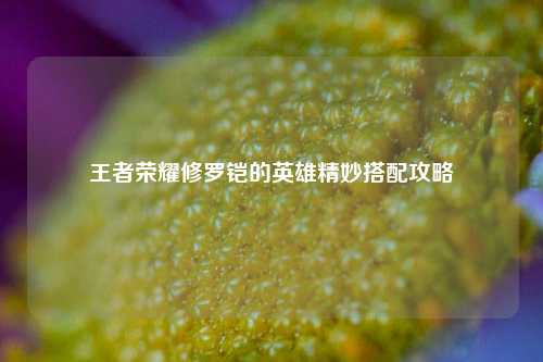 王者荣耀修罗铠的英雄精妙搭配攻略