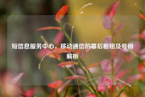 短信息服务中心,移动通信的幕后枢纽及号码解析