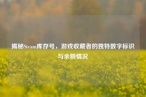 揭秘Steam库存号,游戏收藏者的独特数字标识与余额情况