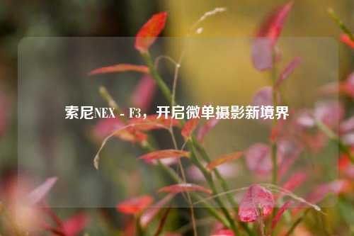 索尼NEX - F3，开启微单摄影新境界