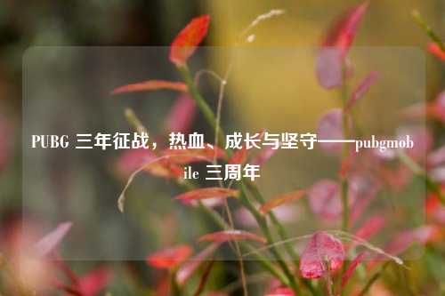 PUBG 三年征战，热血、成长与坚守——pubgmobile 三周年