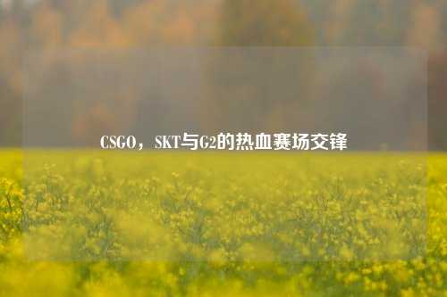 CSGO,SKT与G2的热血赛场交锋