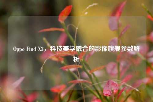 Oppo Find X3，科技美学融合的影像旗舰参数解析