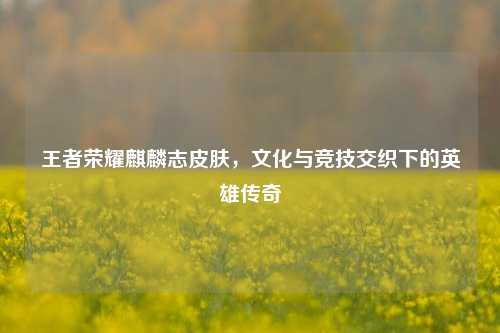 王者荣耀麒麟志皮肤，文化与竞技交织下的英雄传奇