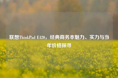 联想ThinkPad E420，经典商务本魅力、实力与当年价格探寻