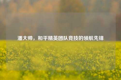 潘大帅,和平精英团队竞技的领航先锋