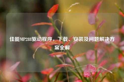 佳能MP288驱动程序,下载、安装及问题解决方案全解
