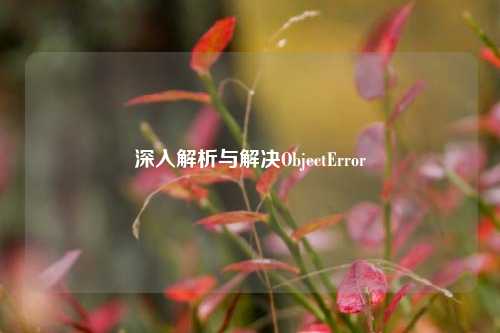 深入解析与解决ObjectError