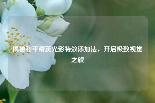 揭秘和平精英光影特效添加法,开启极致视觉之旅