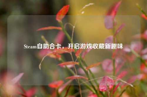 Steam自助合卡,开启游戏收藏新趣味
