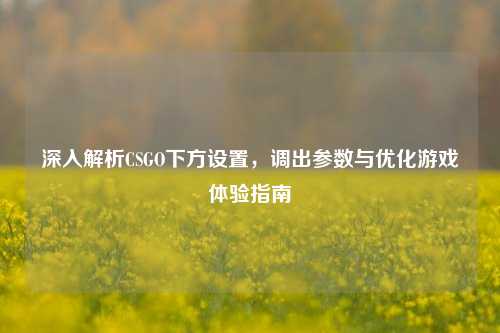 深入解析CSGO下方设置,调出参数与优化游戏体验指南