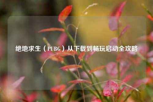 绝地求生(PUBG)从下载到畅玩启动全攻略