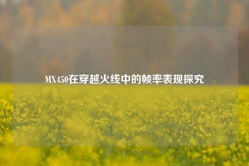 MX450在穿越火线中的帧率表现探究