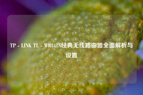 TP - LINK TL - WR841N经典无线路由器全面解析与设置