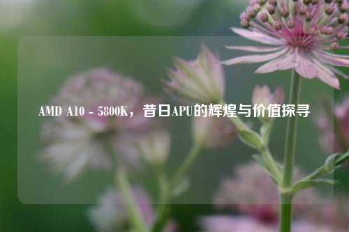 AMD A10 - 5800K,昔日APU的辉煌与价值探寻