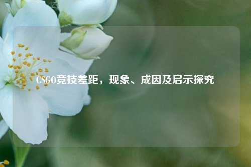 CSGO竞技差距,现象、成因及启示探究