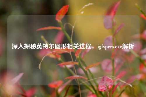 深入探秘英特尔图形相关进程,igfxpers.exe解析