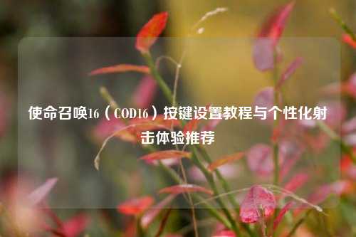 使命召唤16（COD16）按键设置教程与个性化射击体验推荐