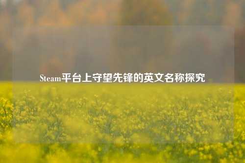 Steam平台上守望先锋的英文名称探究