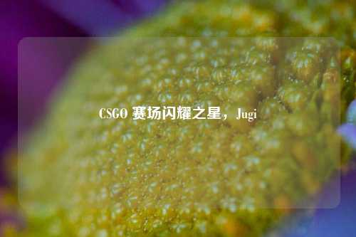 CSGO 赛场闪耀之星，Jugi