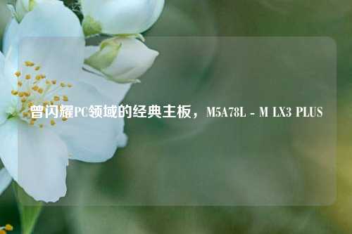 曾闪耀PC领域的经典主板,M5A78L - M LX3 PLUS