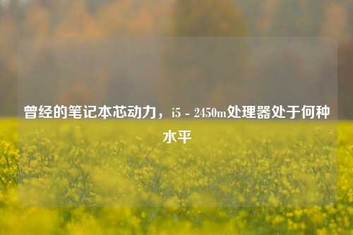 曾经的笔记本芯动力,i5 - 2450m处理器处于何种水平