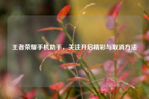 王者荣耀手机助手,关注开启精彩与取消方法
